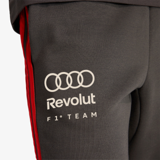 Audi Formula One Team DNA 