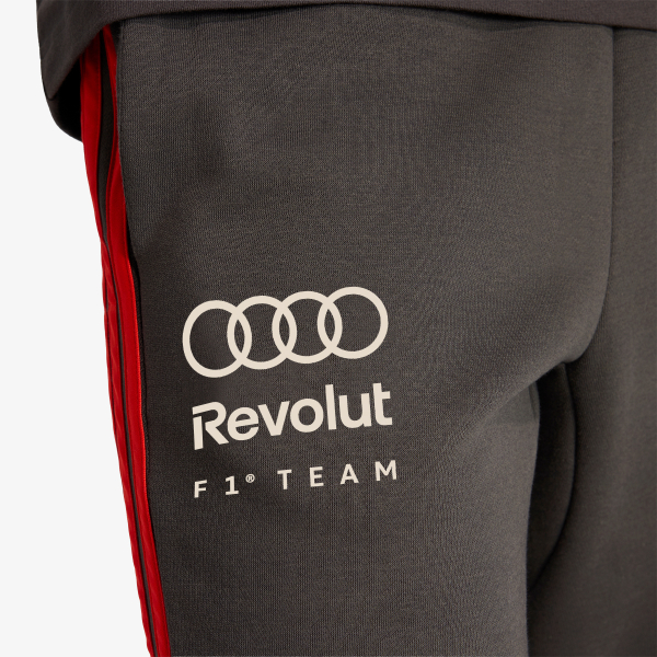 Audi Formula One Team DNA 