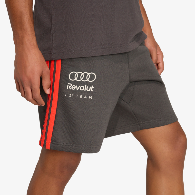 Audi Formula One Team DNA 