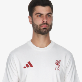adidas LFC ST GR TE 