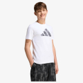 J CAMO T 