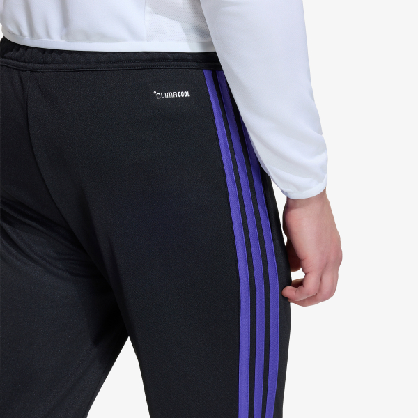 adidas TIRO26L  TRPNTS 