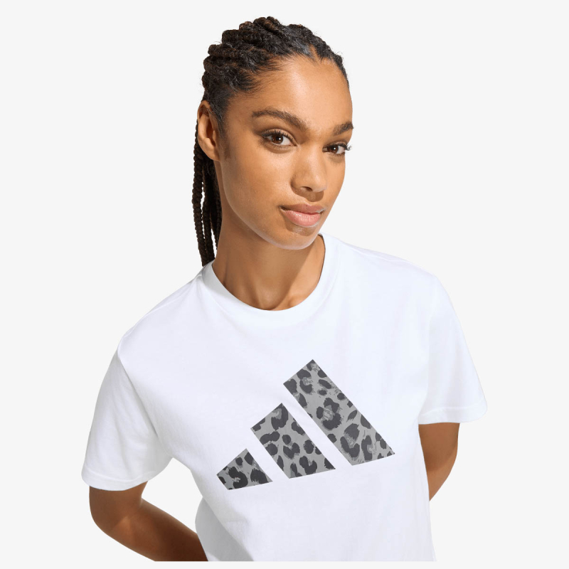 ANIMAL T 