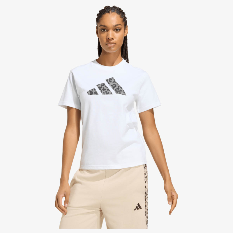 ANIMAL T 