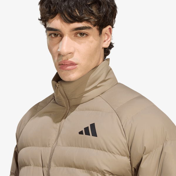 M ESS SD LT P J 