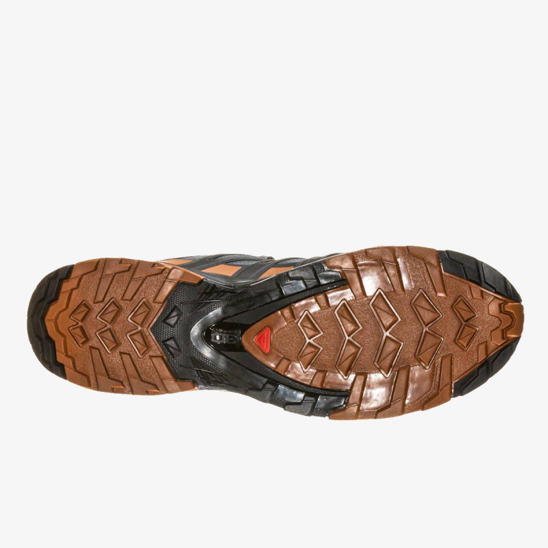 Salomon XA Pro 3D V8 Gore-Tex 