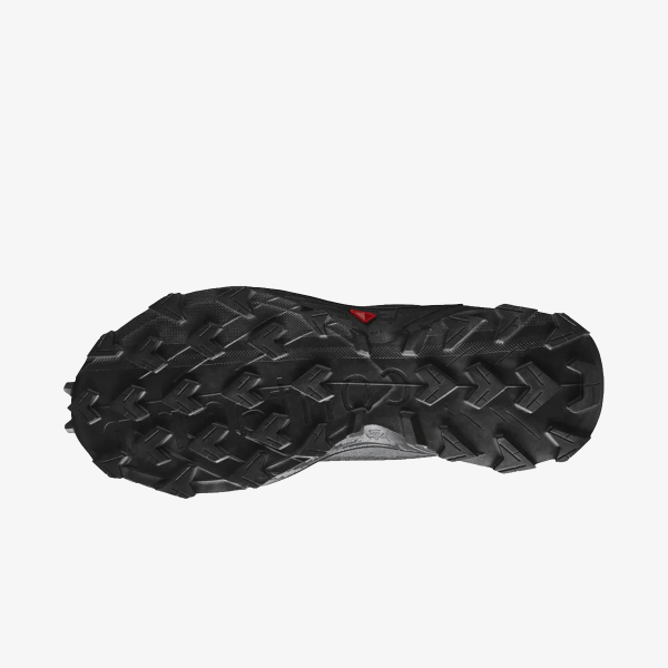 Salomon Alphacross 4 