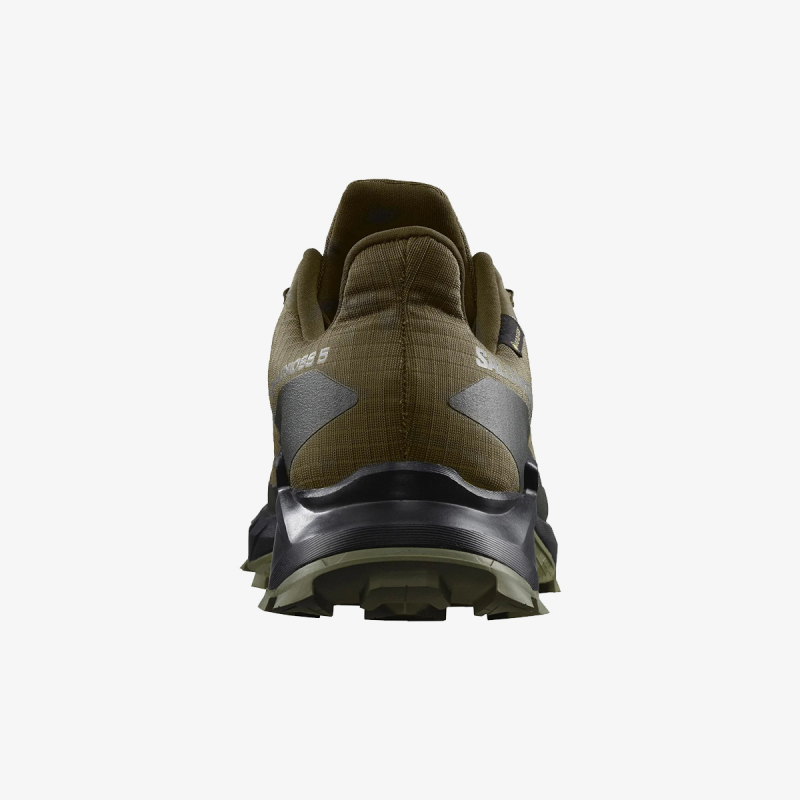 Salomon Alphacross 5 GTX 