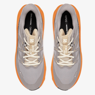 Salomon SHOES ULTRA FLOW 2 GTX 