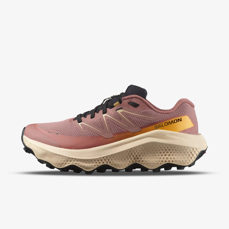 Salomon ULTRA FLOW 2 GTX W BU 