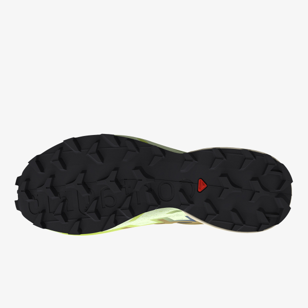 Salomon Speedcross 6 GTX 