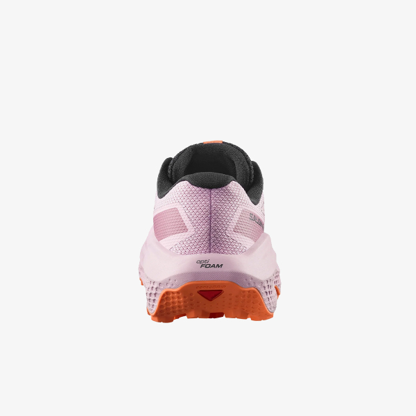 Salomon Shoes Ultra Flow 2 