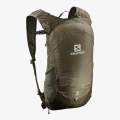 SALOMON SALOMON TRAILBLAZER 10 MARTINI OL/OLIVE NIGH/EBO 
