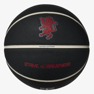 NIKE ALL COURT 2.0 8P L JAMES DEFLATED 