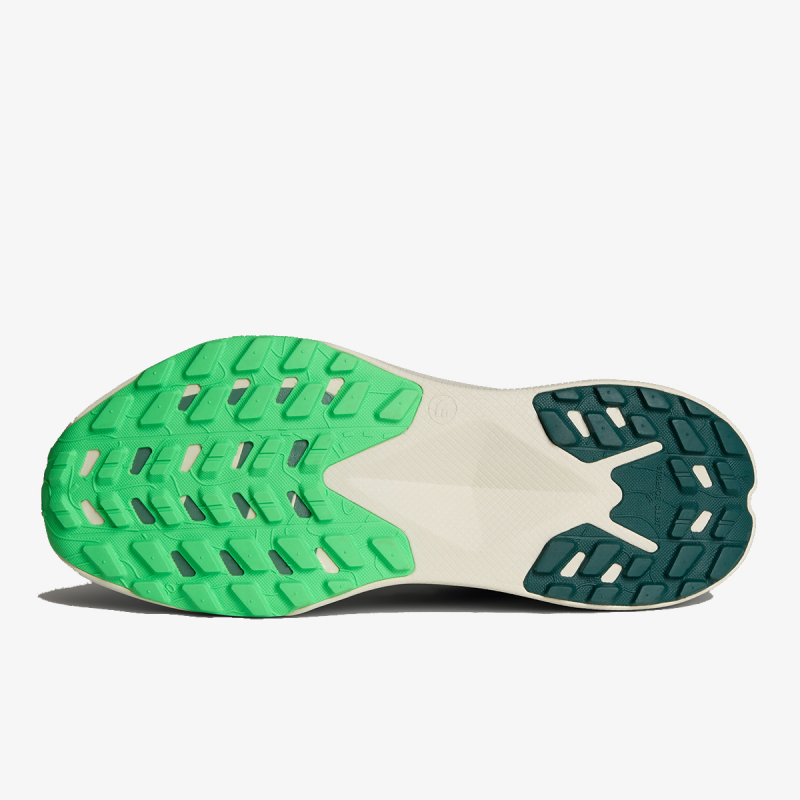 The North Face MENS ALTAMESA 300 