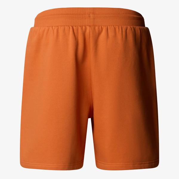 The North Face MENS BOX NSE REGULAR SHORT 