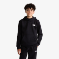 TEEN EVOLUTION BOX NSE PULLOVER HOODIE 