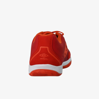 TROPHY IC 